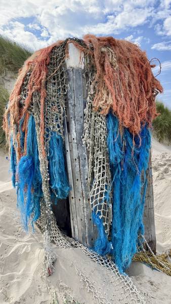 Strandgut sammeln in Callantsoog